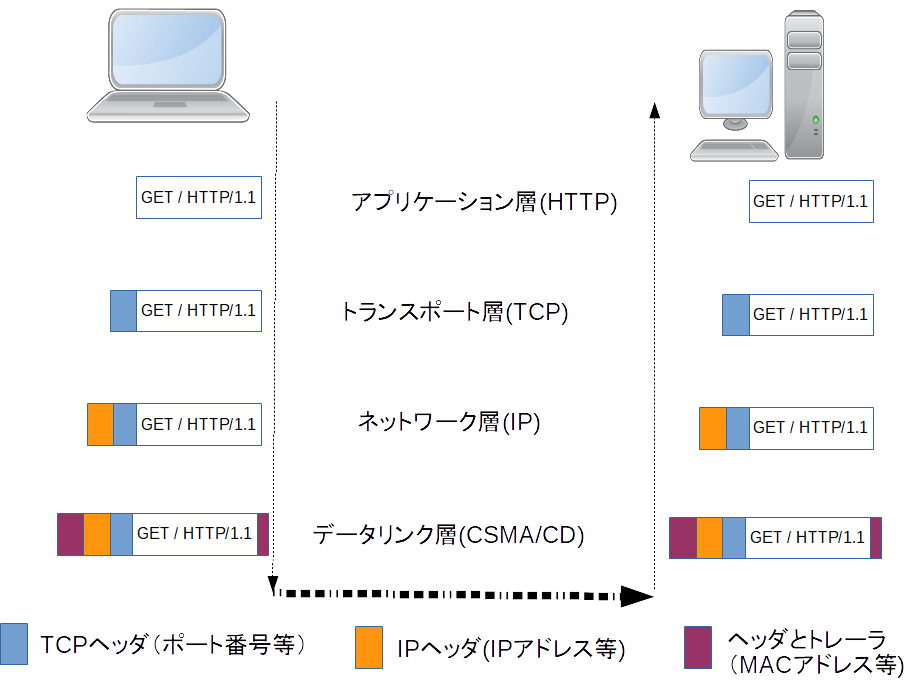 net layer